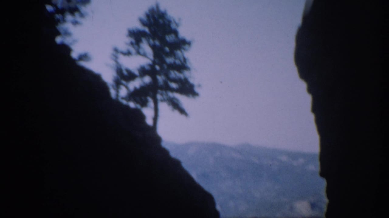 Colorado canyon view from moving 8mm footage, with a pine tree silhouetted above dark rock and a hazy mountain ridge in back.