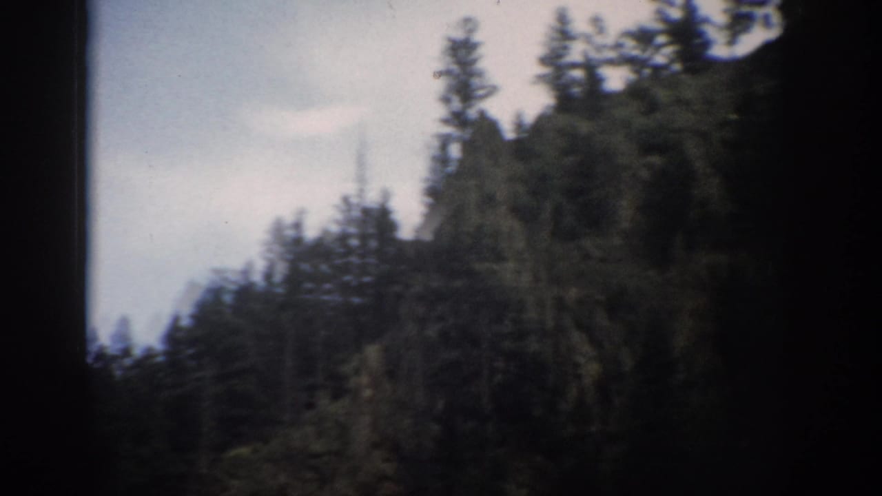 1959 Colorado 8mm frame showing dense evergreen trees on a shaded mountain slope with dark film borders.