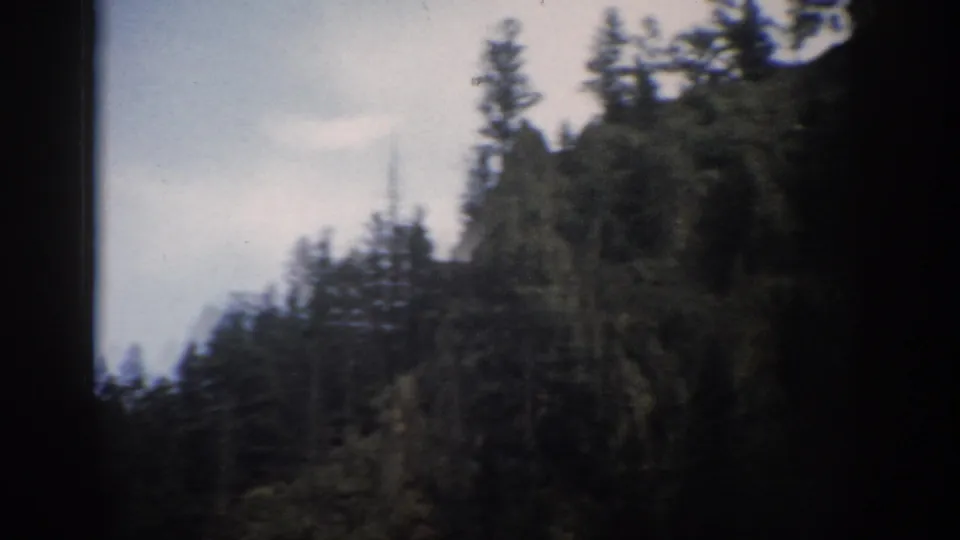 1959 Colorado 8mm frame showing dense evergreen trees on a shaded mountain slope with dark film borders.