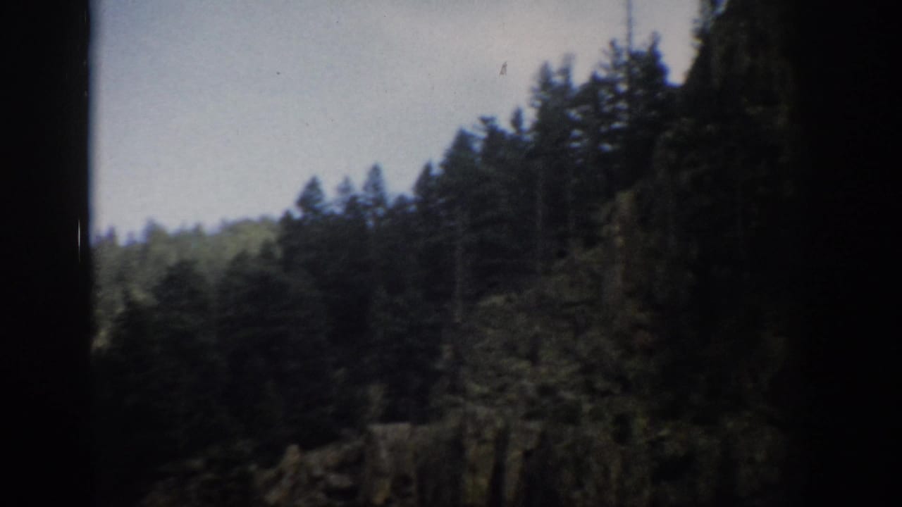 Colorado mountain landscape with evergreen forest, a distant ridge, and visible 8mm frame edge shadowing.