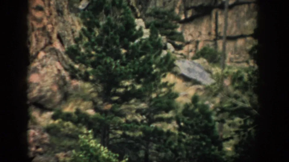 1959 Colorado 8mm frame showing conifers and shrubs clustered below a weathered rock formation.