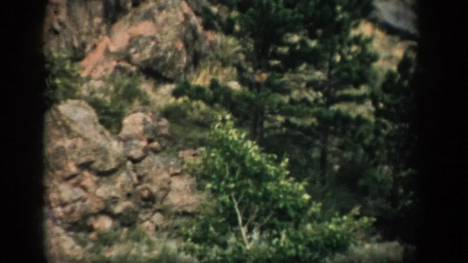 1959 Colorado frame showing a rugged rocky slope with evergreens, shrubs, and muted 8mm color.