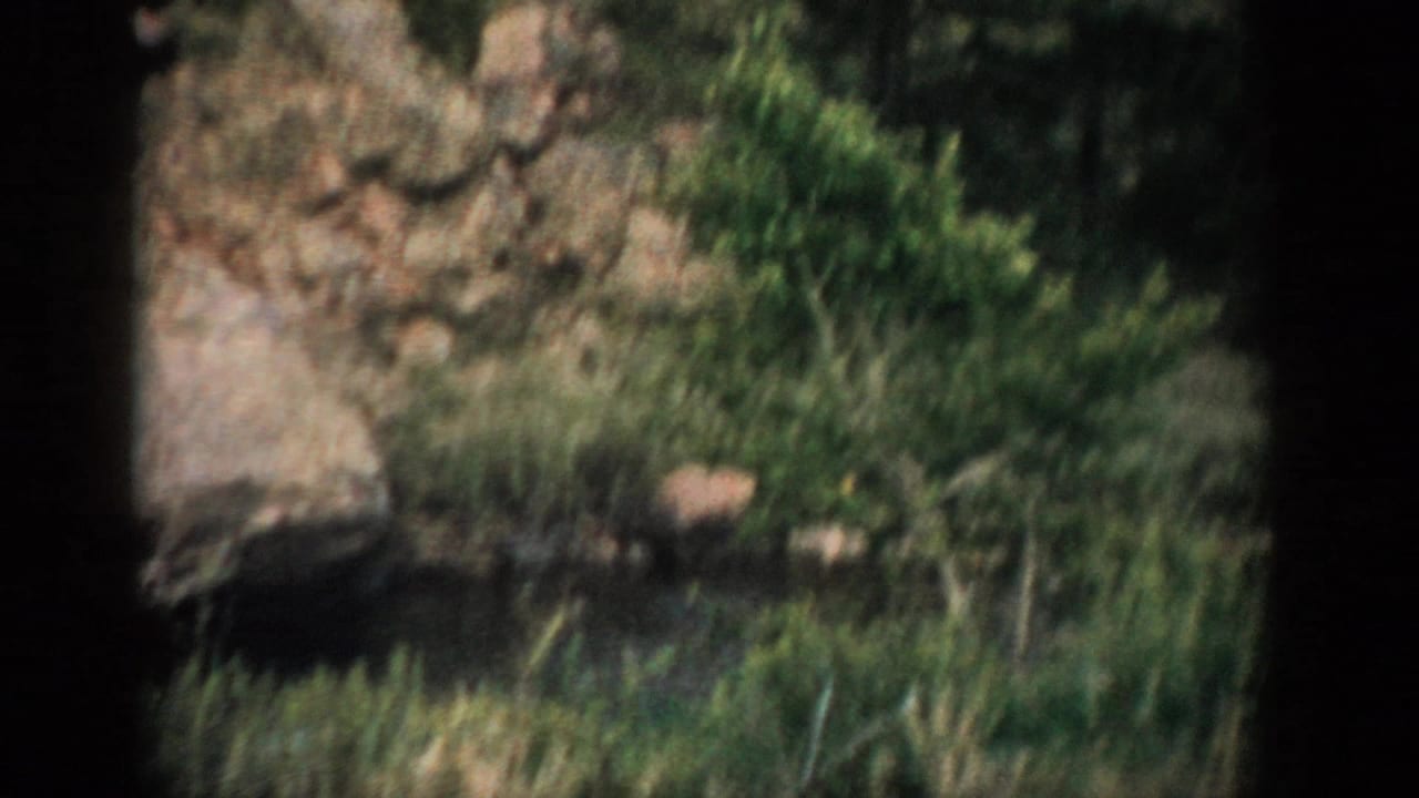 1959 Colorado home-movie frame showing a small stream, rocky bank, grass, and dark edge framing.