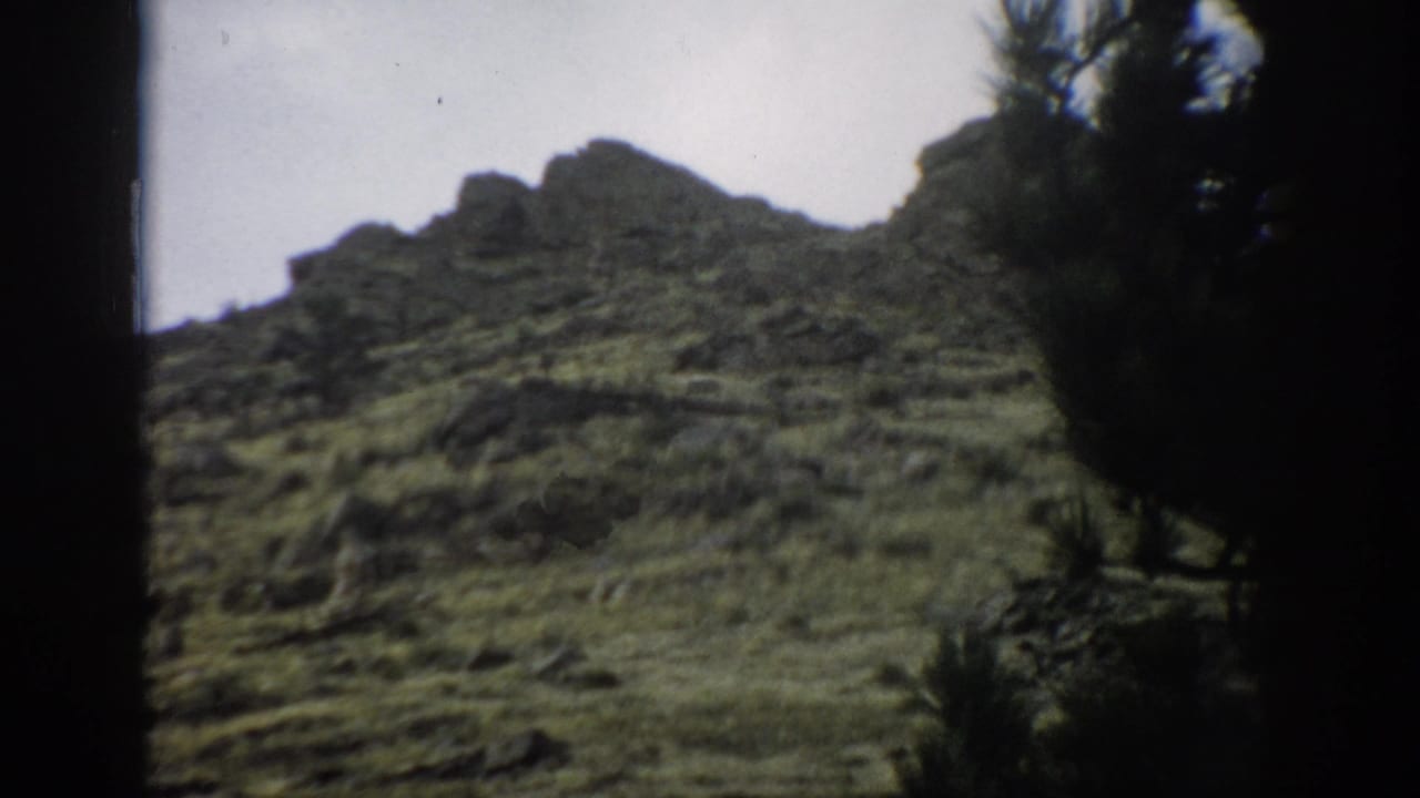 1959 Colorado 8mm frame showing a rocky grass-covered hillside with scattered pine-like trees and dark foreground foliage.