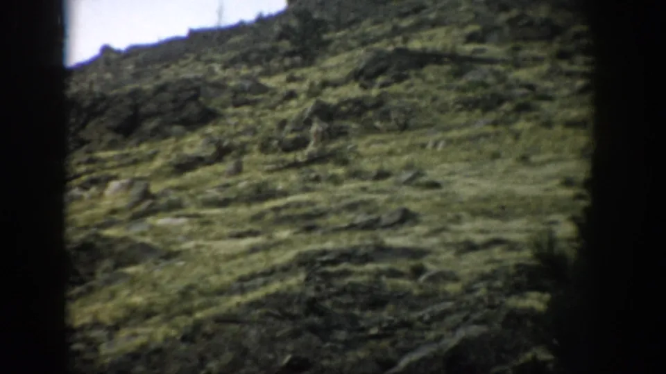 1959 Colorado 8mm frame showing a closer section of grassy rocky hillside, with dark foreground trees partly blocking the view.
