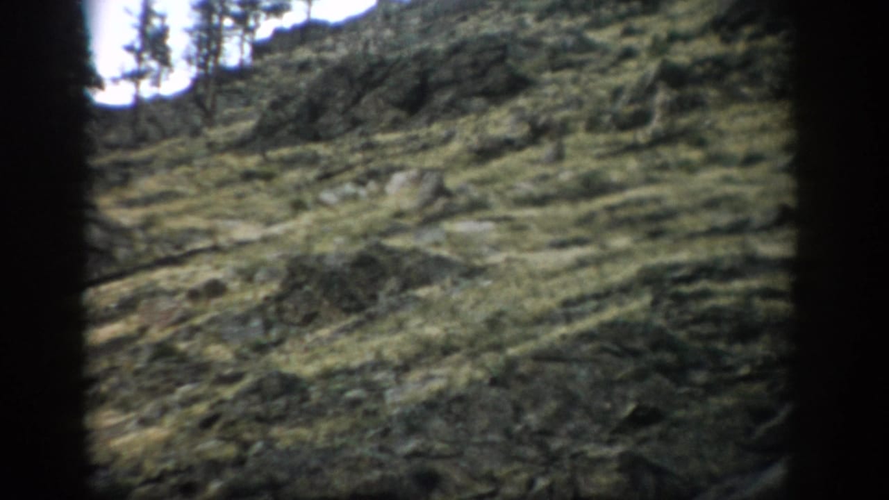 Sloping rocky terrain with patchy grass, shrubs, and a few trees near the ridge.