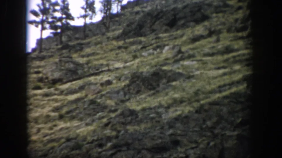 1959 Colorado 8mm frame of a rugged grassy slope, scattered rocks, and trees near the skyline.