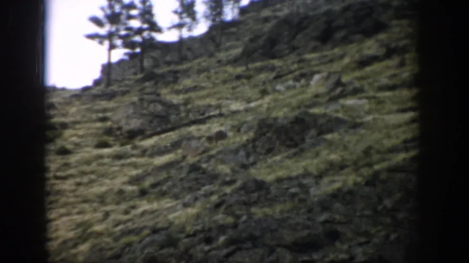 1959 Colorado 8mm frame showing rocky green hillside and sparse trees near a bright ridge opening.