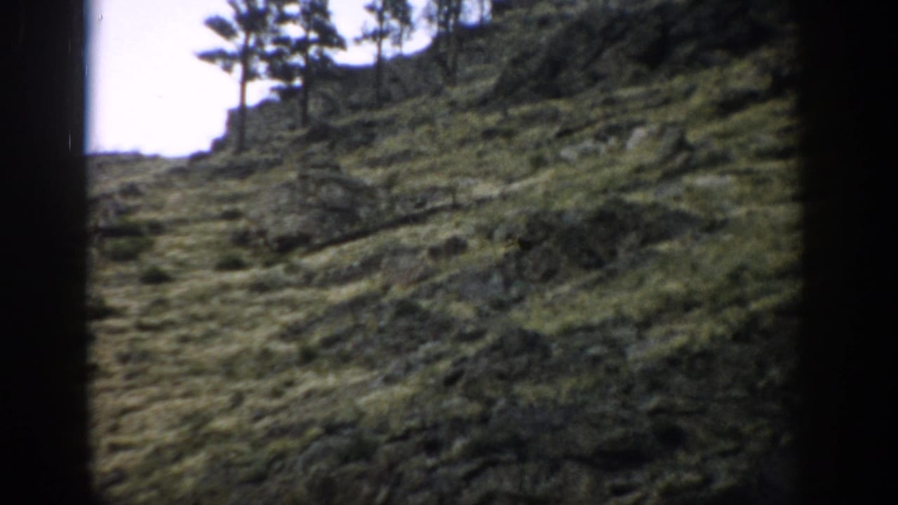 1959 Colorado 8mm frame showing a rugged green mountainside with scattered evergreens, pale clouds, and dark film-edge borders.