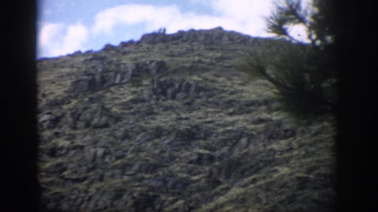 1959 Colorado 8mm frame of a rocky mountainside with low green growth, scattered trees, and a bright partly cloudy sky.