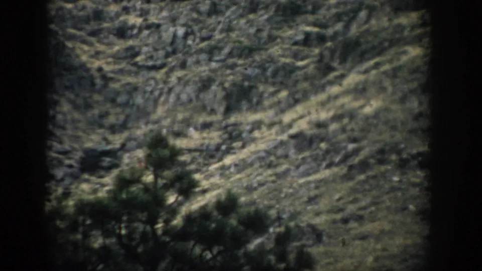 1959 Colorado Super 8 frame of a rugged slope, partially obscured by dark pine branches in front.