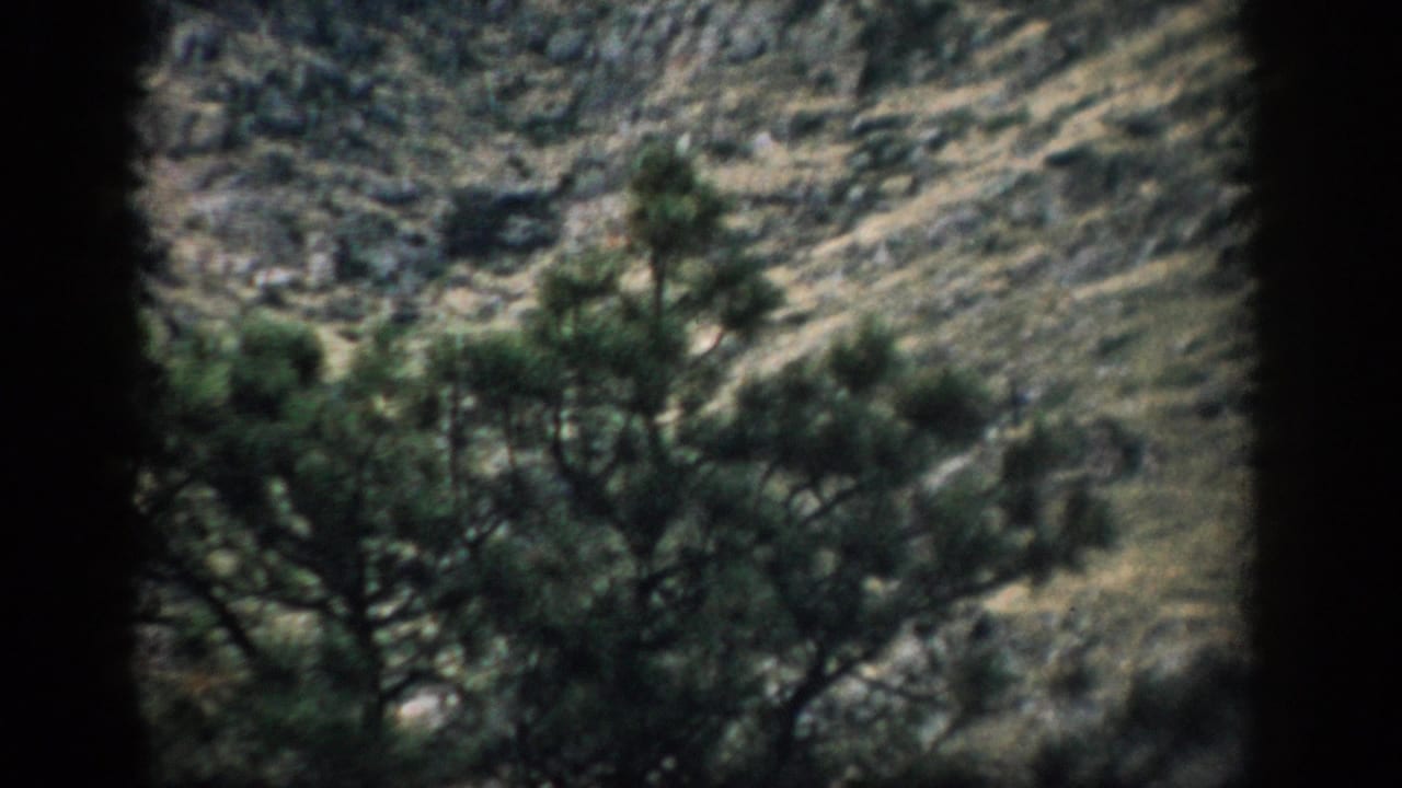 1959 Colorado 8mm frame showing pine trees against a rocky mountain slope with dark viewfinder-like borders.
