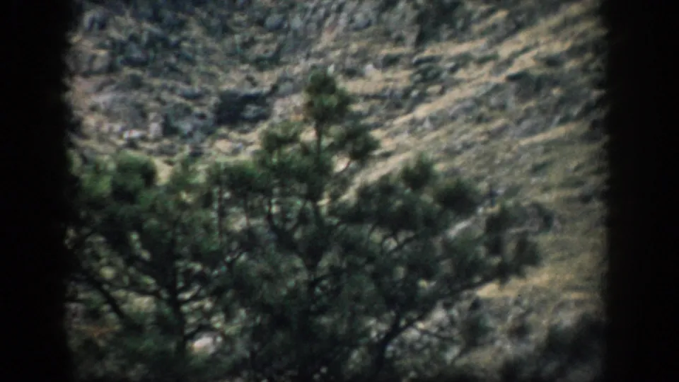 1959 Colorado 8mm frame showing pine trees against a rocky mountain slope with dark viewfinder-like borders.