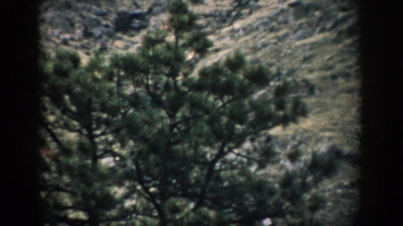 Colorado mountain scenery with pine trees and a rocky slope, captured in soft 8mm home-movie color.