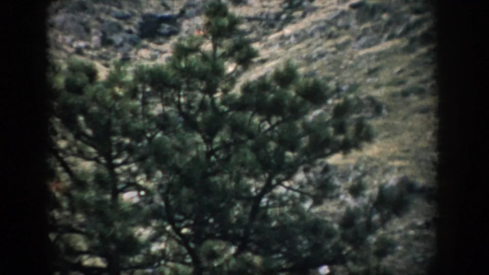Colorado mountain scenery with pine trees and a rocky slope, captured in soft 8mm home-movie color.