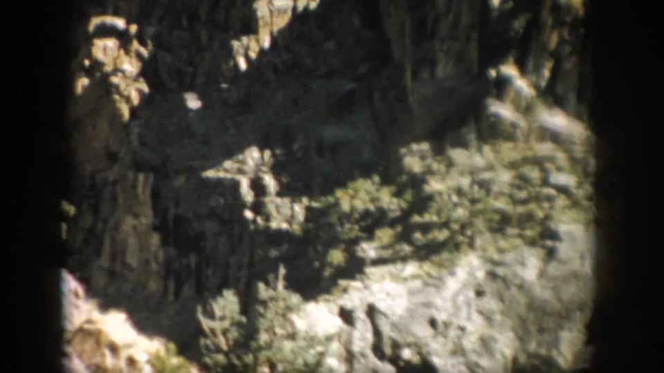 End frame from 1959 Colorado 8mm footage showing a rocky slope, scrub vegetation, and uneven home-movie exposure.