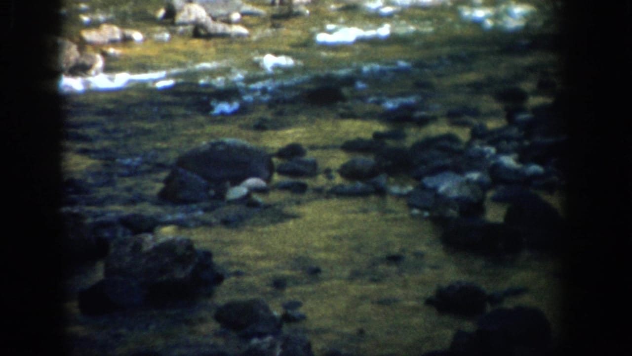 Shallow rocky stream with scattered stones, white water and dark frame edges.