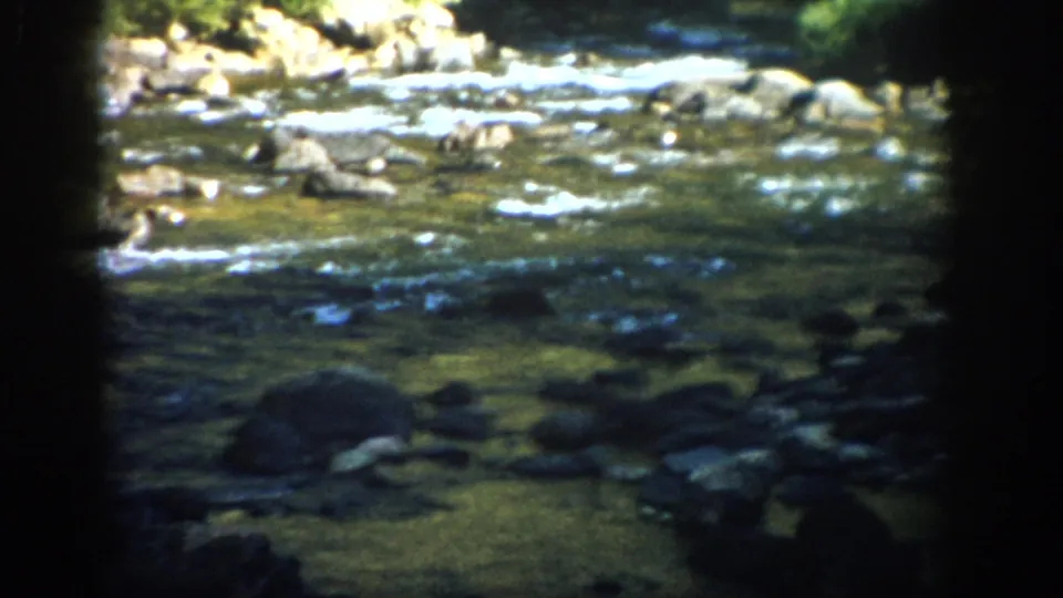 1959 Colorado home-movie frame of rippling water moving through rocks and boulders along a bright mountain stream bank.