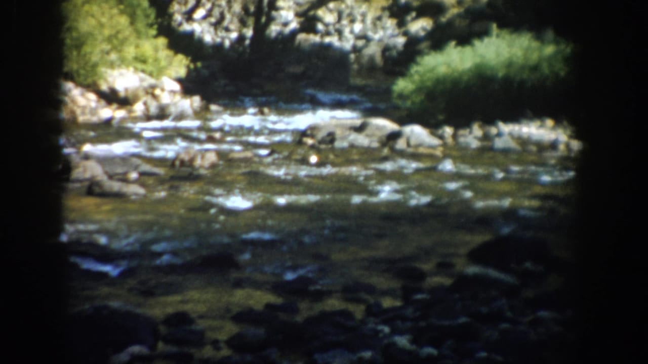 Rocky creek and green banks in Colorado countryside, captured on 1959 8mm home-movie footage.