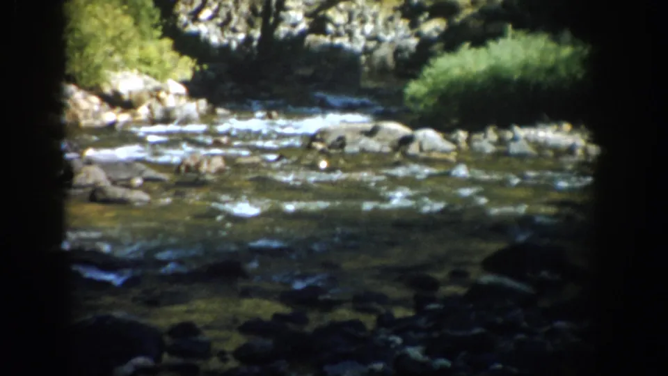 Rocky creek and green banks in Colorado countryside, captured on 1959 8mm home-movie footage.