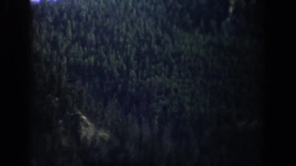 A wooded Colorado slope fills the frame in faded 1959 home-movie color.