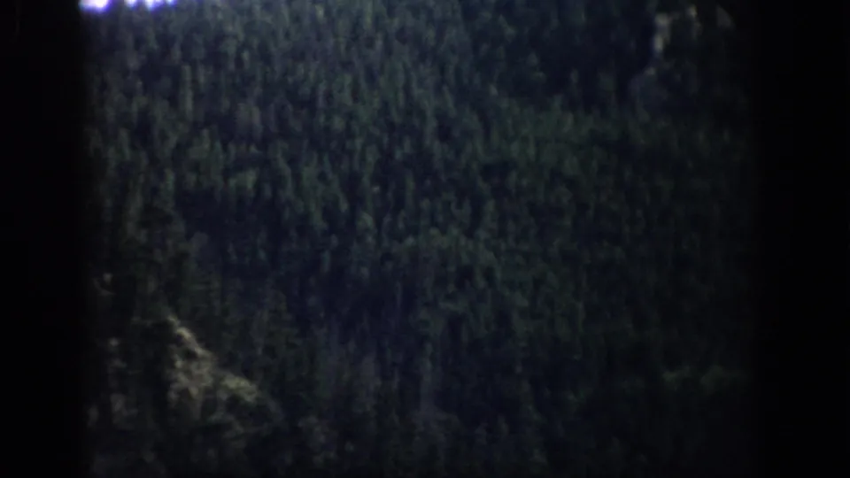 A Colorado forest hillside appears through darkened 8mm frame edges in 1959 travel footage.