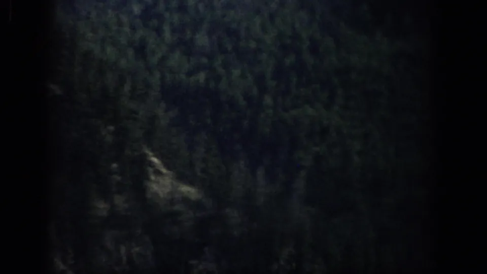 1959 Colorado 8mm frame showing a dim stand of evergreen trees in heavy shadow with visible grain and frame edges.