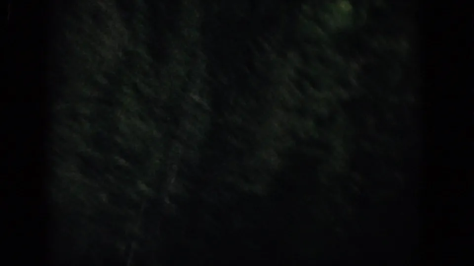 1959 Colorado 8mm frame showing blurred undergrowth and shadowed tree forms in a very low-light forest view.