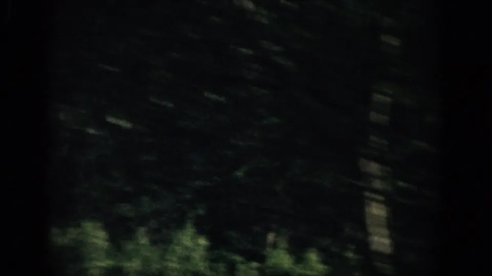 Soft, low-light 8mm view of dense Colorado trees and roadside vegetation during a forest drive.