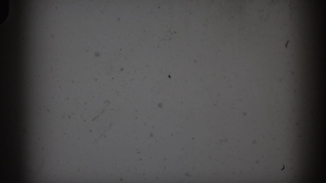 Pale blank film frame with black specks, dust, and dark vertical edge bands.