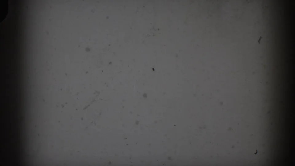 1959 Florida 8mm frame showing a pale blank field with dust specks, grain, vignetting, and a dark vertical film edge.