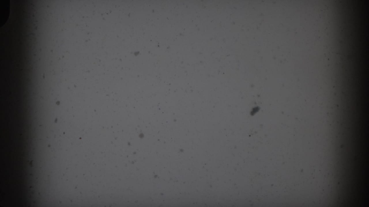 Light gray film field with scattered black specks and a dark vertical divider.