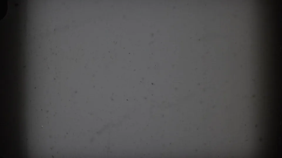 1959 Florida 8mm frame with a pale blank screen, fine black specks, grain, and dark edge vignetting from the film scan.