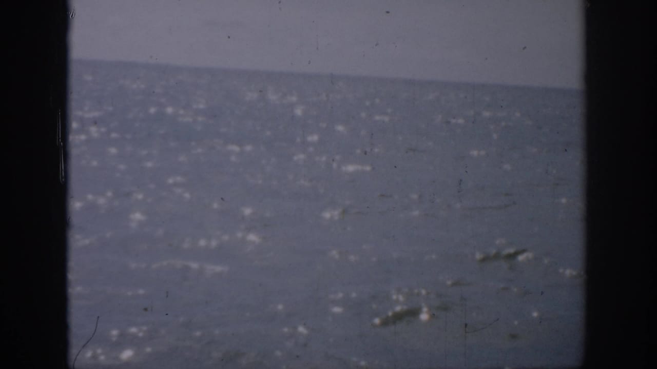 1959 Florida 8mm frame showing glistening water under a hazy sky, with visible film grain and gate edges.