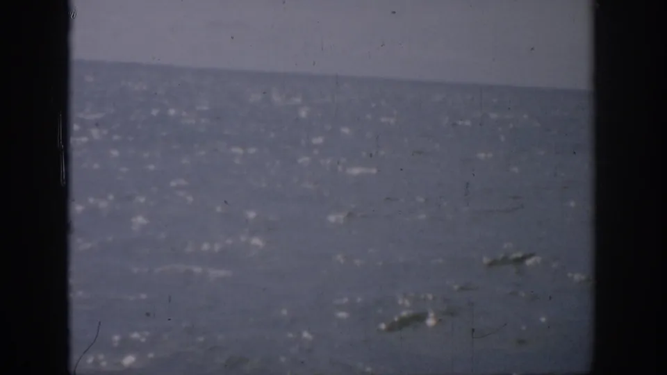 1959 Florida 8mm frame showing glistening water under a hazy sky, with visible film grain and gate edges.