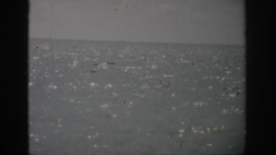 1959 Florida coastal view with shimmering water, a flat horizon, and visible 8mm gate edges.