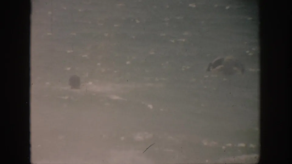 1959 Florida beach frame with swimmers partly visible in shallow ocean water under faded 8mm color.