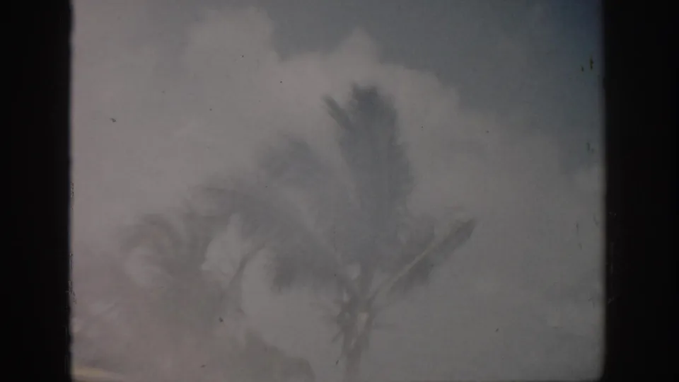 1959 Florida 8mm frame showing a hazy sky, blurred palm silhouettes, a darker band of water, and visible film wear.