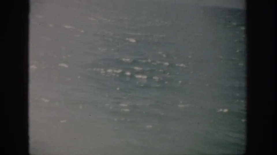 1959 Florida 8mm frame of ocean water with small waves and scattered bright reflections.