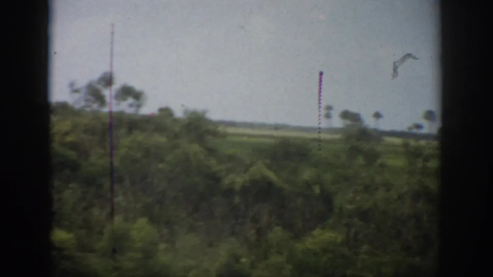 Florida home-movie frame showing dense roadside vegetation, distant palms, and a pale sky through dark window framing.