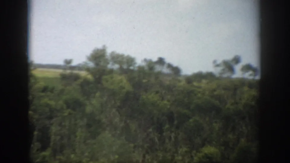 1959 Florida home-movie view of a treeline and distant open field, partially obscured by dark vertical framing.
