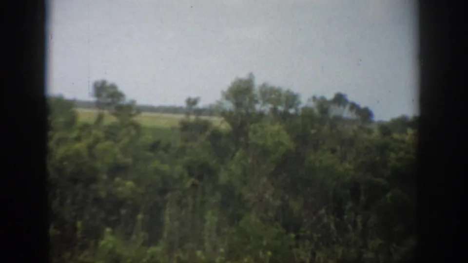 1959 Florida 8mm frame with green shrubs, scattered trees, and a distant field beneath a bright pale sky.