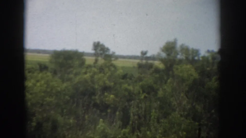 1959 Florida countryside frame showing trees and brush before an open green field, with dark framing at the sides.