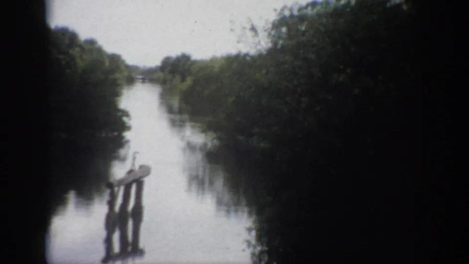 1959 Florida 8mm view down a tree-lined river with a small wooden post or dock remnant in the water.