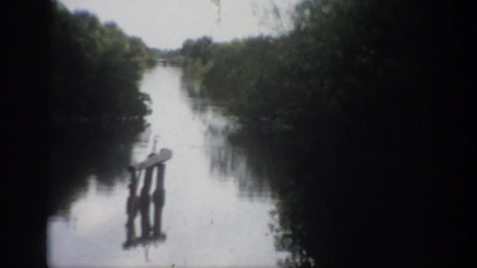 1959 Florida 8mm frame looking along a quiet river bordered by trees, with a wooden post or dock remnant near the foreground.