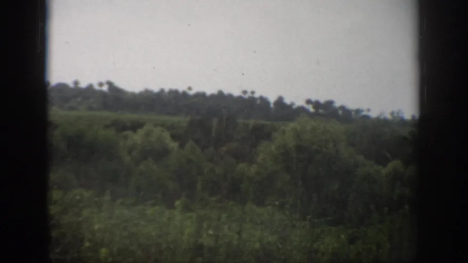1959 Florida 8mm frame looking across dense green vegetation toward a low tree line and distant palms under a cloudy sky.