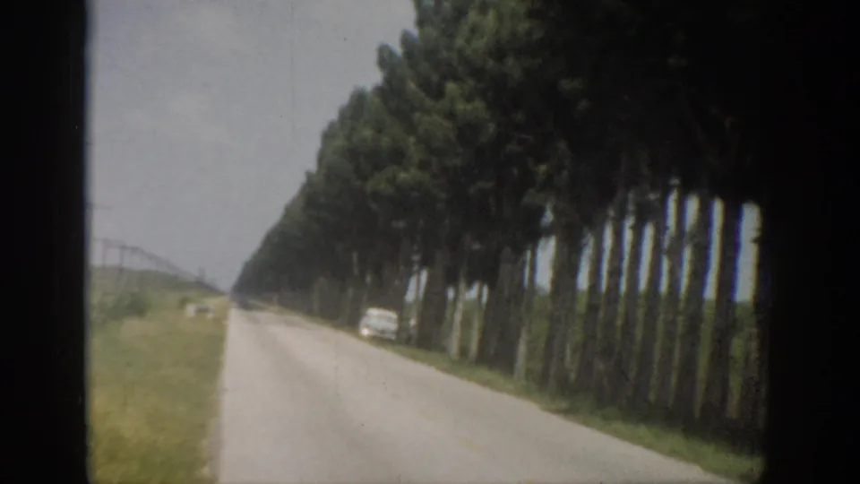 1959 Florida home-movie view down a paved rural road bordered by tall trees, grass, and a white car ahead.