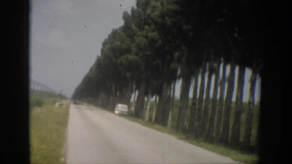 1959 Florida roadside frame showing tall trees, a paved road, grassy shoulder, and a white car ahead in soft 8mm focus.