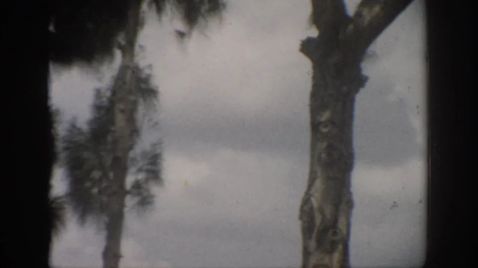 1959 Florida 8mm frame showing a rural roadside with trees, utility poles, grassy verge, and hazy sky.