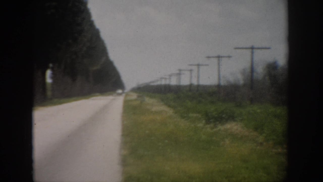 Pale rural road beside a tall tree line with grass and utility poles in the distance.